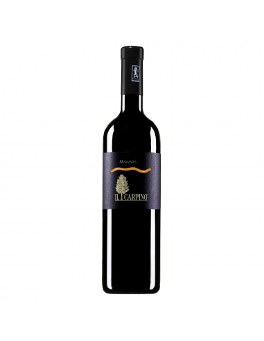 Il Carpino Malvasia Venezia Giulia IGT