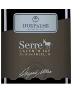 Cantine Due Palme Serre... 2