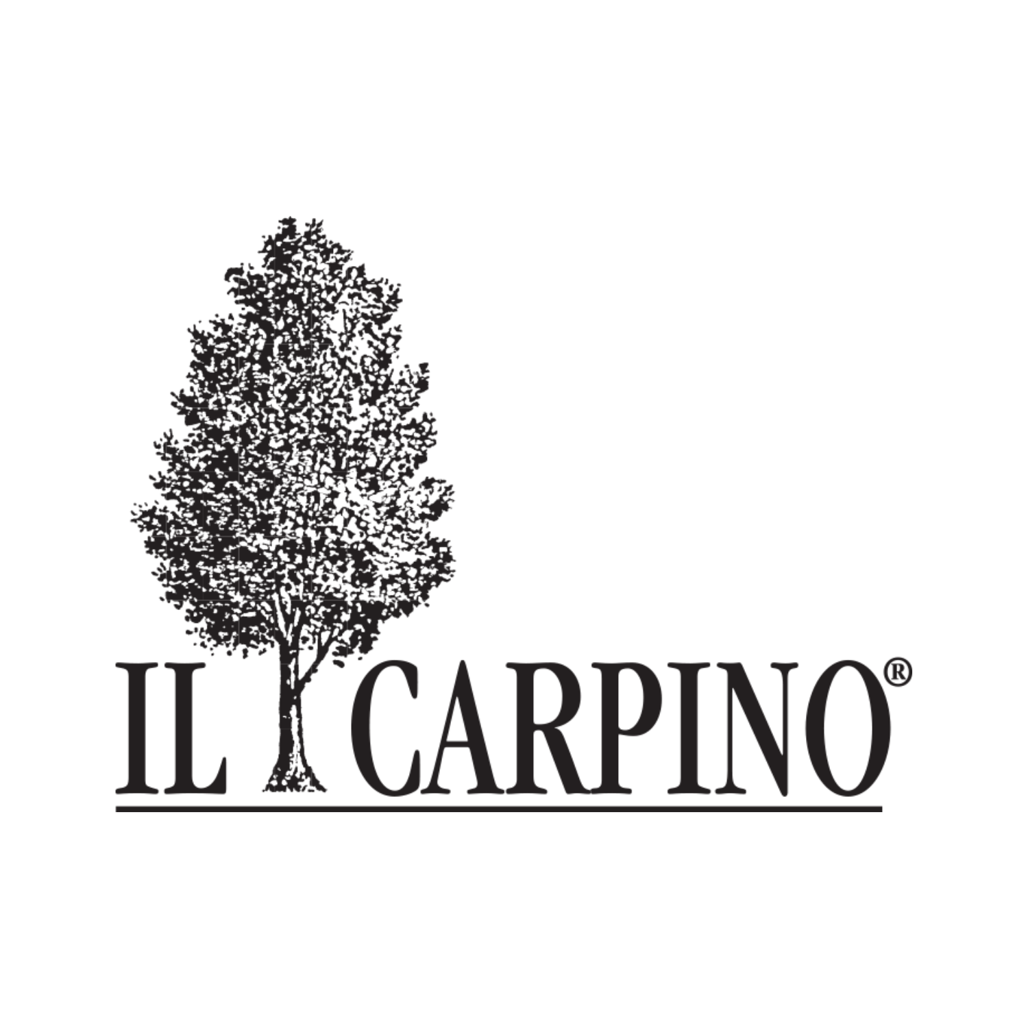 Il Carpino