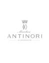 Marchesi Antinori