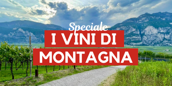 I vini di montagna: viticoltura eroica ad alte altitudini. 