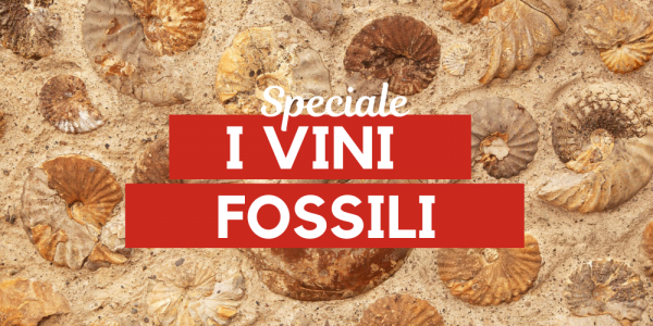 I vini fossili: eredità di un mare scomparso milioni di anni fa