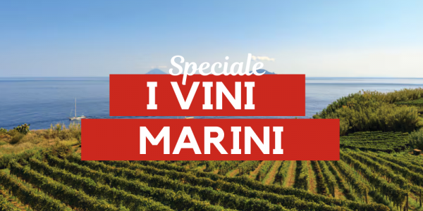 I vini marini: bolle, bianchi e rossi influenzati dal mare! 