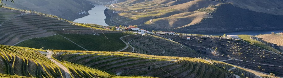 MISTERVINO WINETOURS